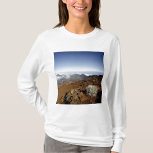Camiseta Palavra-de-prata sobre a cratera de Haleakala