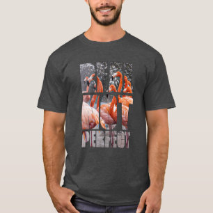 Camiseta Palavras Tropicais Flamingo Não Perfeitas