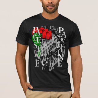 Camiseta Palestina .3 preto