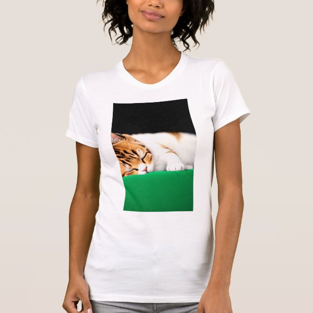 Camiseta PALESTINA GRATUITA Cat. (Frente)