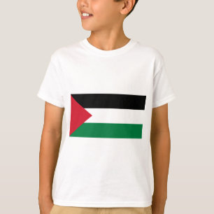 Camiseta Palestina livre - bandeira palestina (علمفلس