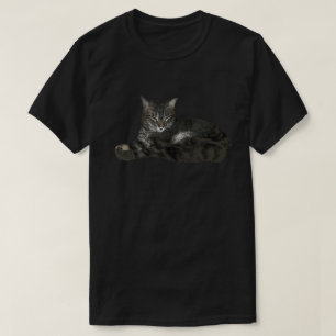 Camiseta Palha Castanho-Gato-Gato Amantes de Gato-Gato