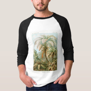 Camiseta Palm Tree Ernst Haeckel