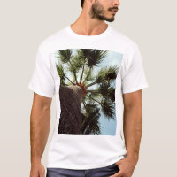 Palmtree