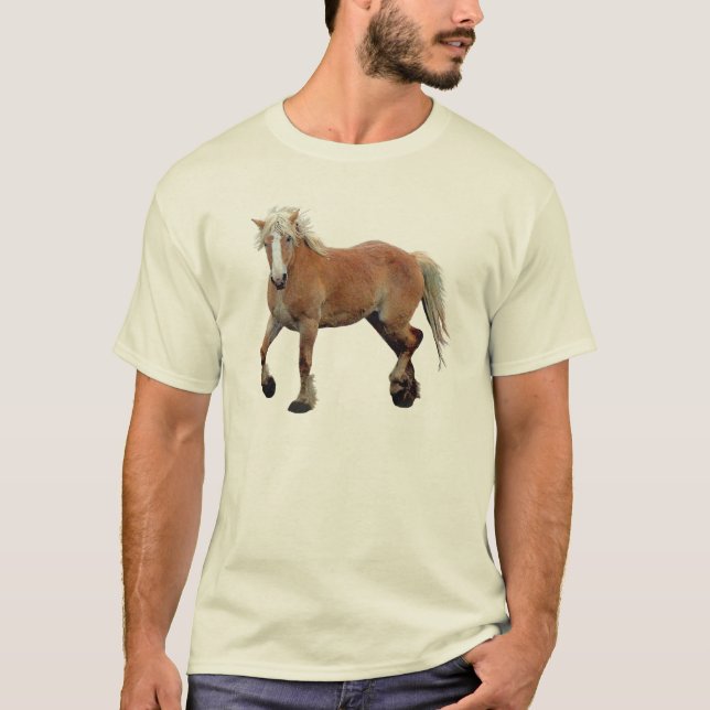 Camiseta Palomino Belga Rascunho de Cavalo Roupa (Frente)