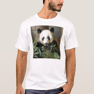 Camiseta panda117