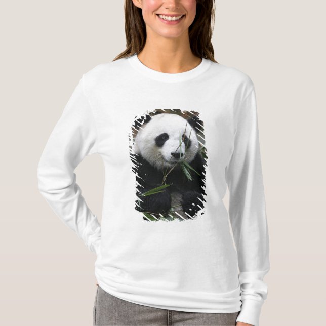 Camiseta Panda gigante (Frente)