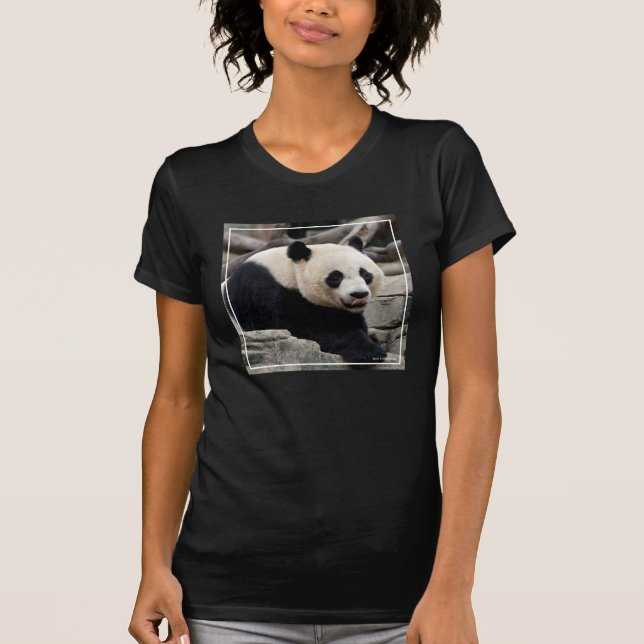 Camiseta Panda gigante em rochas (Frente)