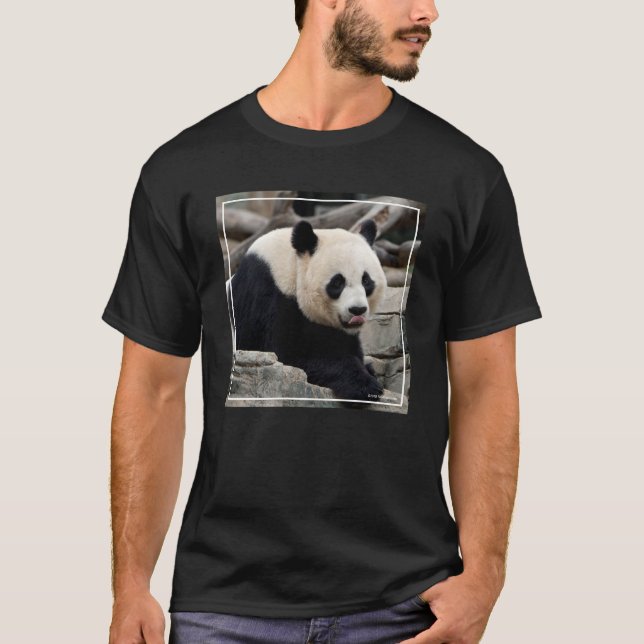 Camiseta Panda gigante em rochas (Frente)