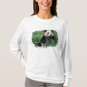 Camiseta Panda gigante na grama, Vale de Wolong, Sichuan