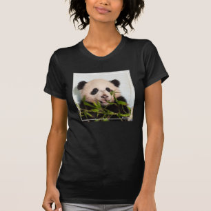 Camiseta Panda gigante que inclina-se contra a parede