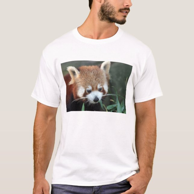 Camiseta Panda Vermelho, Taronga Zoo, Sydney, Austrália (Frente)