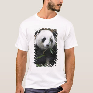 Camiseta Pandas gigantes na proteção da panda gigante &