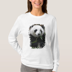Camiseta Pandas gigantes na proteção da panda gigante &