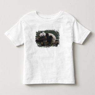 Camiseta Pandas gigantes na proteção & nos 3 da panda