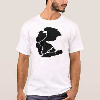 Camiseta pangea