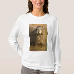 Camiseta Pantanal, Brasil, Capybara, Hidrochoerus