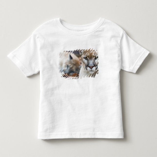 Camiseta Pantera da Flórida (Frente)