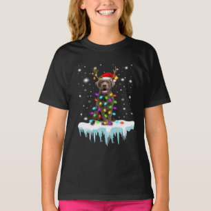Camiseta Pão Cão  Chocolate Labrador Christmas Light