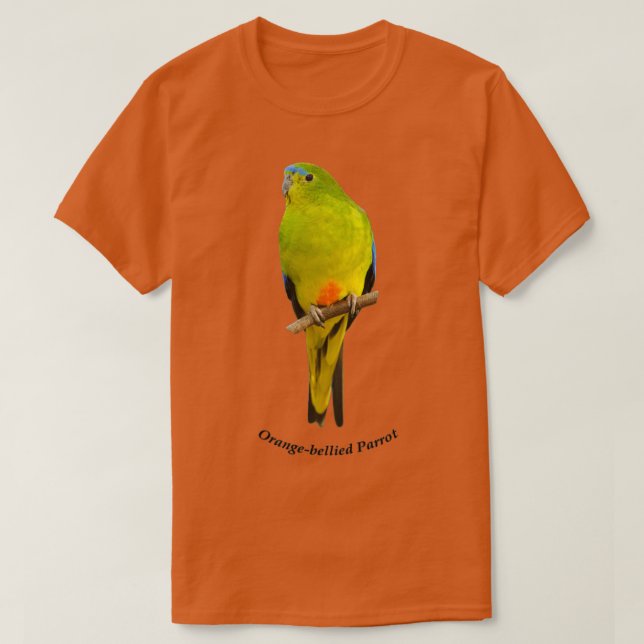 Camiseta Papagaio 1 (Frente do Design)