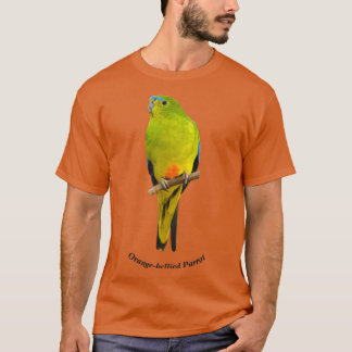 Camiseta Papagaio 1