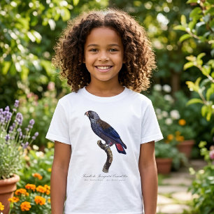 Camiseta Papagaio-cinza, Pionus fuscus