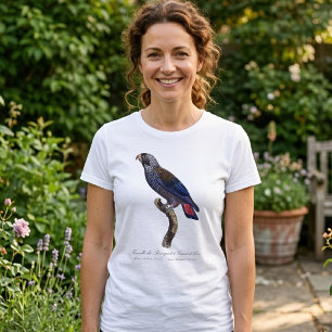 Camiseta Papagaio-cinza, Pionus fuscus