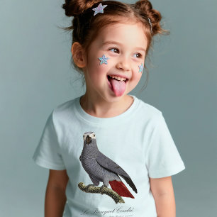 Camiseta Papagaio cinzento africano, Psittacus erithacus, v