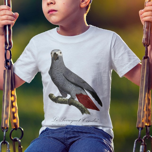 Camiseta Papagaio cinzento africano, Psittacus erithacus, v (Le Perroquet Cendre - 19th century illustration. T-Shirt basic boy)