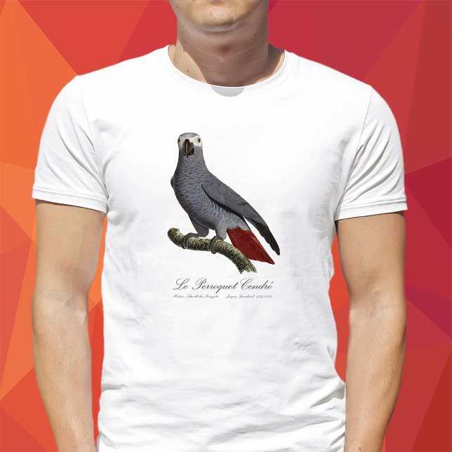 Camiseta Papagaio cinzento africano, Psittacus erithacus, v (Le Perroquet Cendre - 19th century illustration. T-Shirt men)