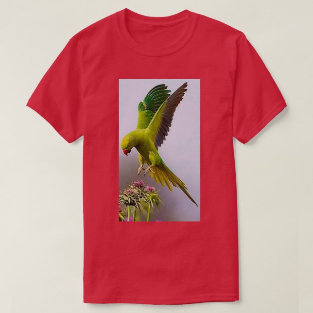 Camiseta Papagaio-colorido 1 (Frente do Design)
