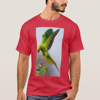 Camiseta Papagaio-colorido 1