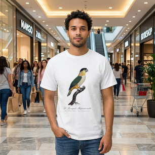 Camiseta Papagaio de Cabeça Preta Macho, Pionites Melanocep