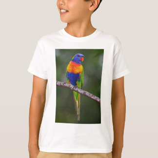 Camiseta Papagaio de Haematodus do Trichoglossus de