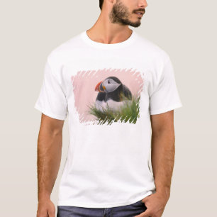 Camiseta Papagaio-do-mar (Fratercula arctica)