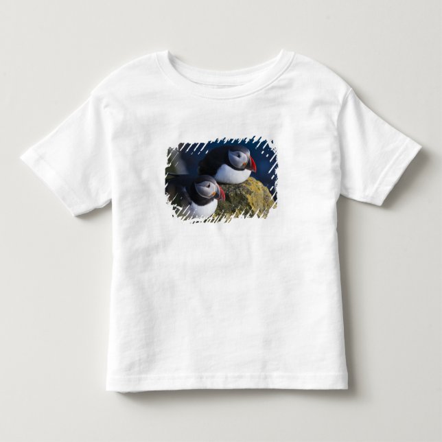 Camiseta Papagaio-do-mar (Fratercula arctica) 7 (Frente)