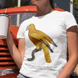 Camiseta Papagaio do Paraíso de Cuba, Psittacus Paradisi