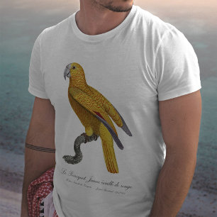 Camiseta Papagaio do Paraíso de Cuba, Psittacus Paradisi
