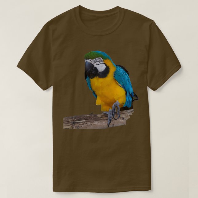 Camiseta Papagaio Dourado Azul (Frente do Design)