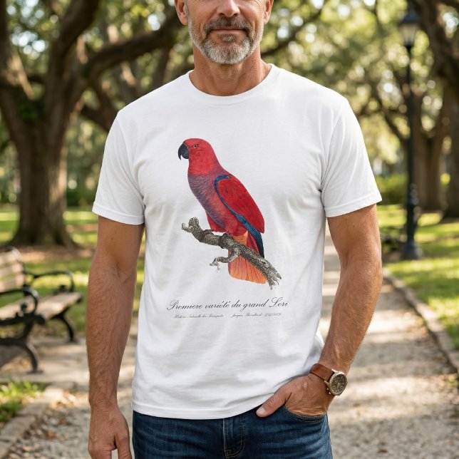 Camiseta Papagaio Eclectus de Vosmaer, Eclectus Roratus Vos (Vosmaer Eclectus Parrot, Eclectus Roratus Vosmaeri. Men Basic White T-Shirt )