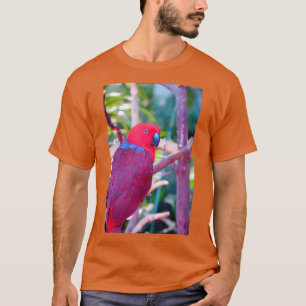 Camiseta Papagaio eclético colorido