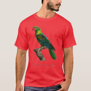 Camiseta papagaio excelente