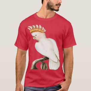 Camiseta Papagaio maravilhoso