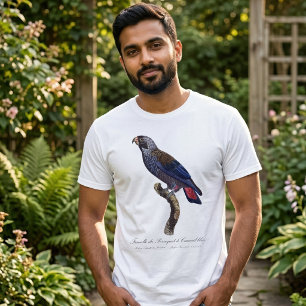 Camiseta Papagaio-repolho, Pionus fuscus