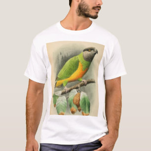 Camiseta Papagaio Senegal, homem adulto