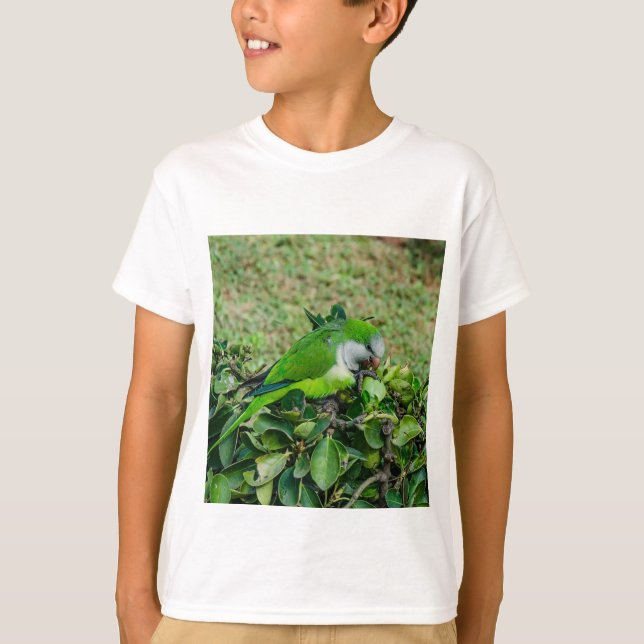 Camiseta Papagaio verde (Frente)