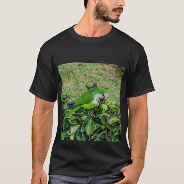 Camiseta Papagaio verde (Frente)