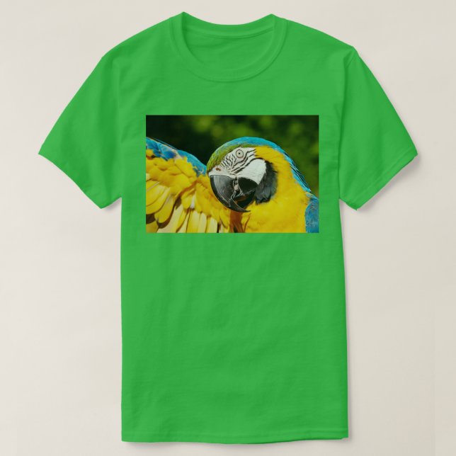 Camiseta Papagaio Verde Amarelo (Frente do Design)