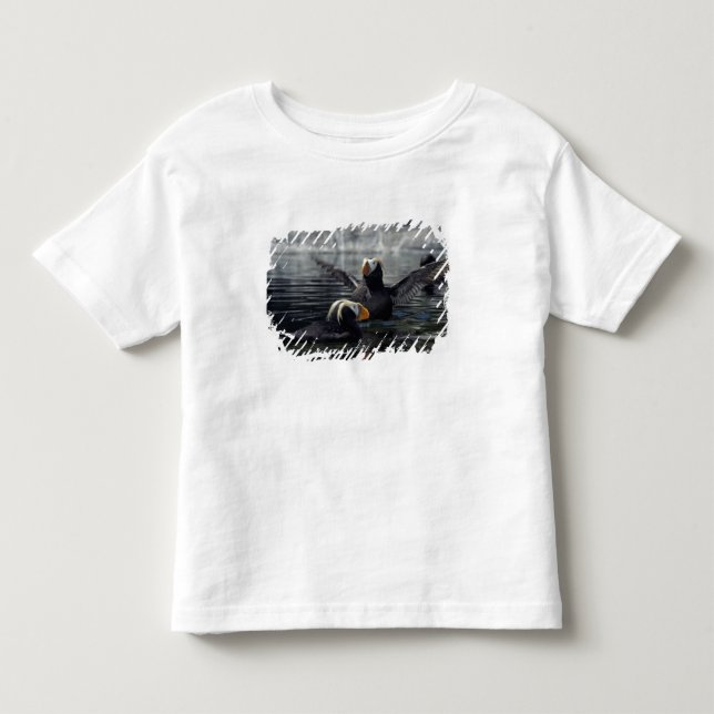 Camiseta Papagaios-do-mar-de-crista-do-Alasca (Frente)