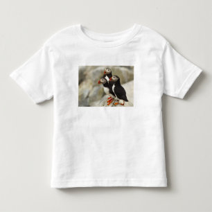 Camiseta Papagaios-do-mar no Machias Seal Island